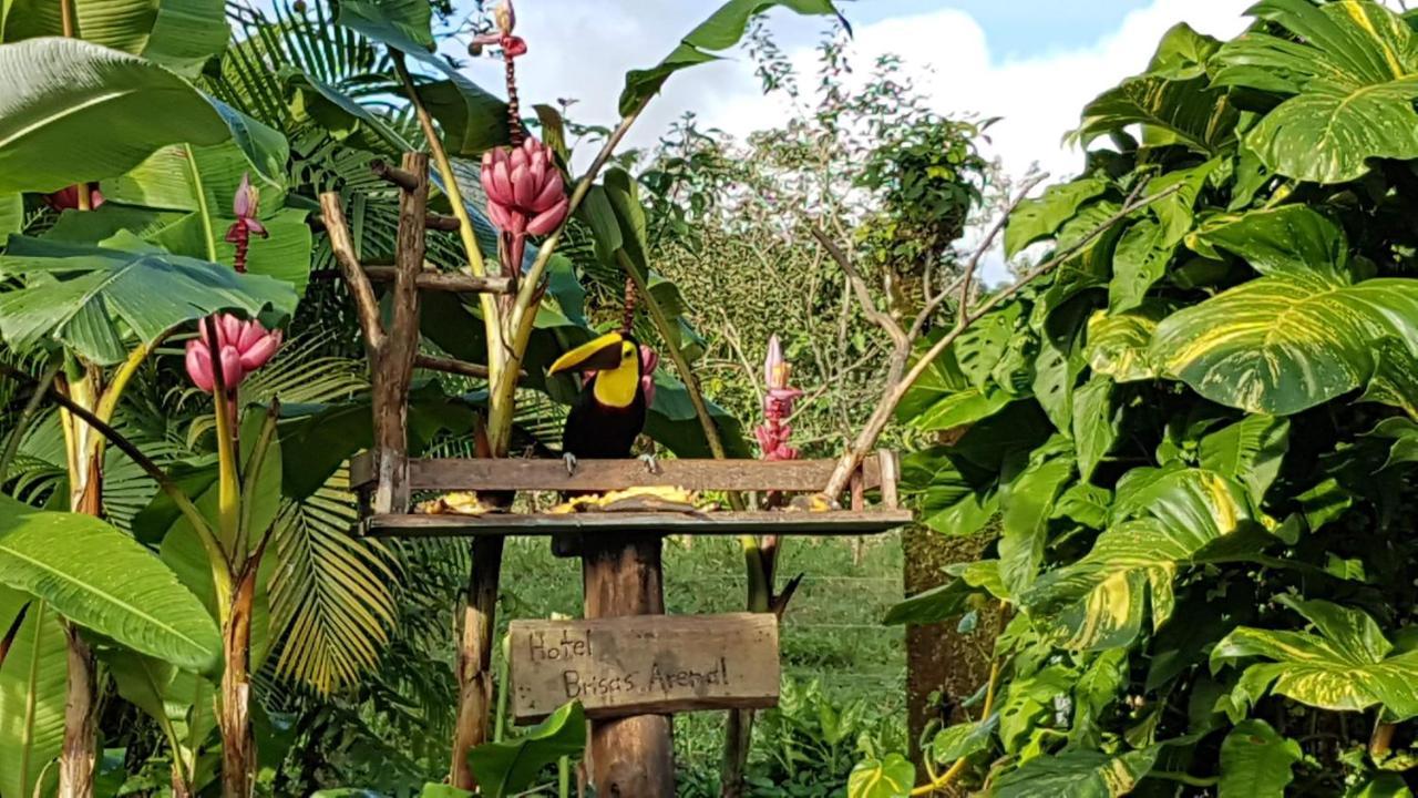 Hotel Brisas Arenal La Fortuna Екстер'єр фото