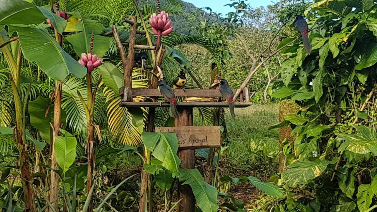 Hotel Brisas Arenal La Fortuna Екстер'єр фото